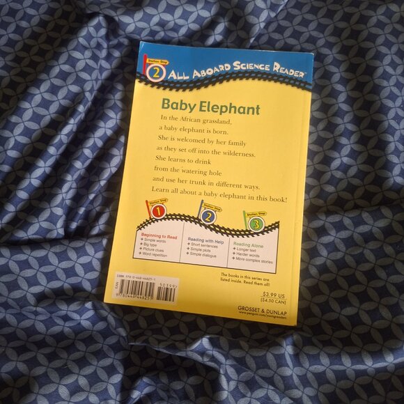 baby elephant - Picture 2 of 4